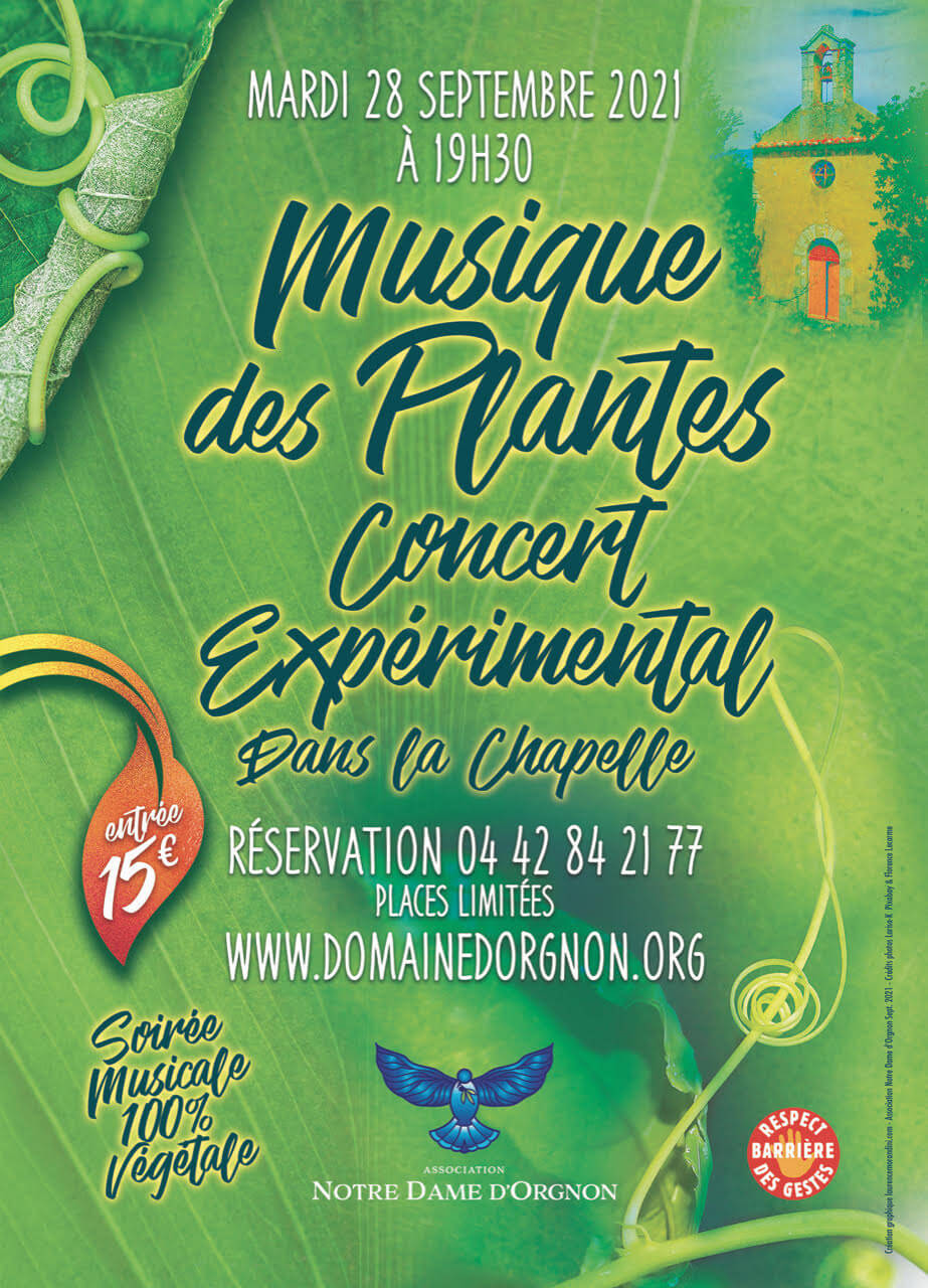Musique des plantes - Concert expérimental