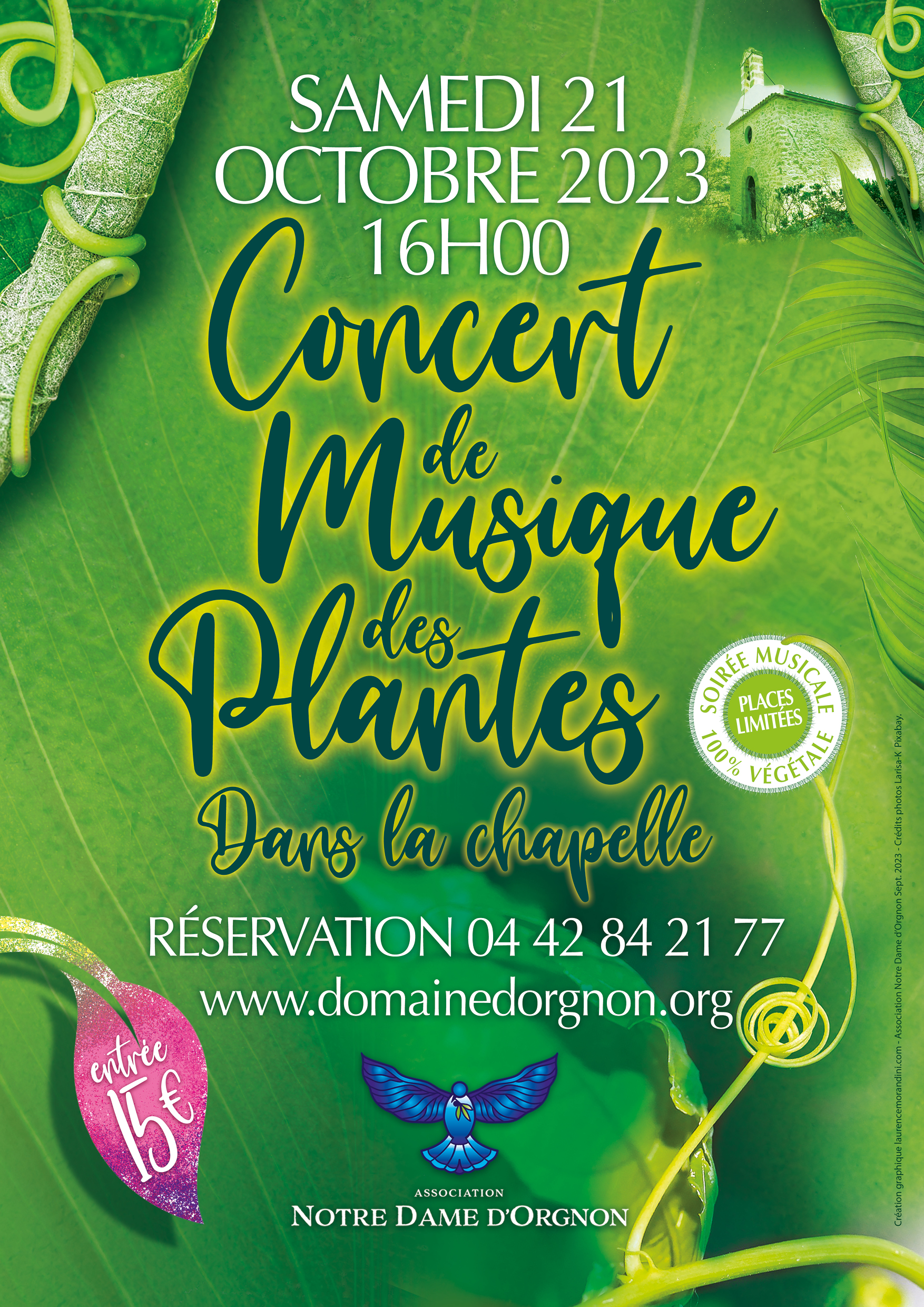 Concert de musique des plantes