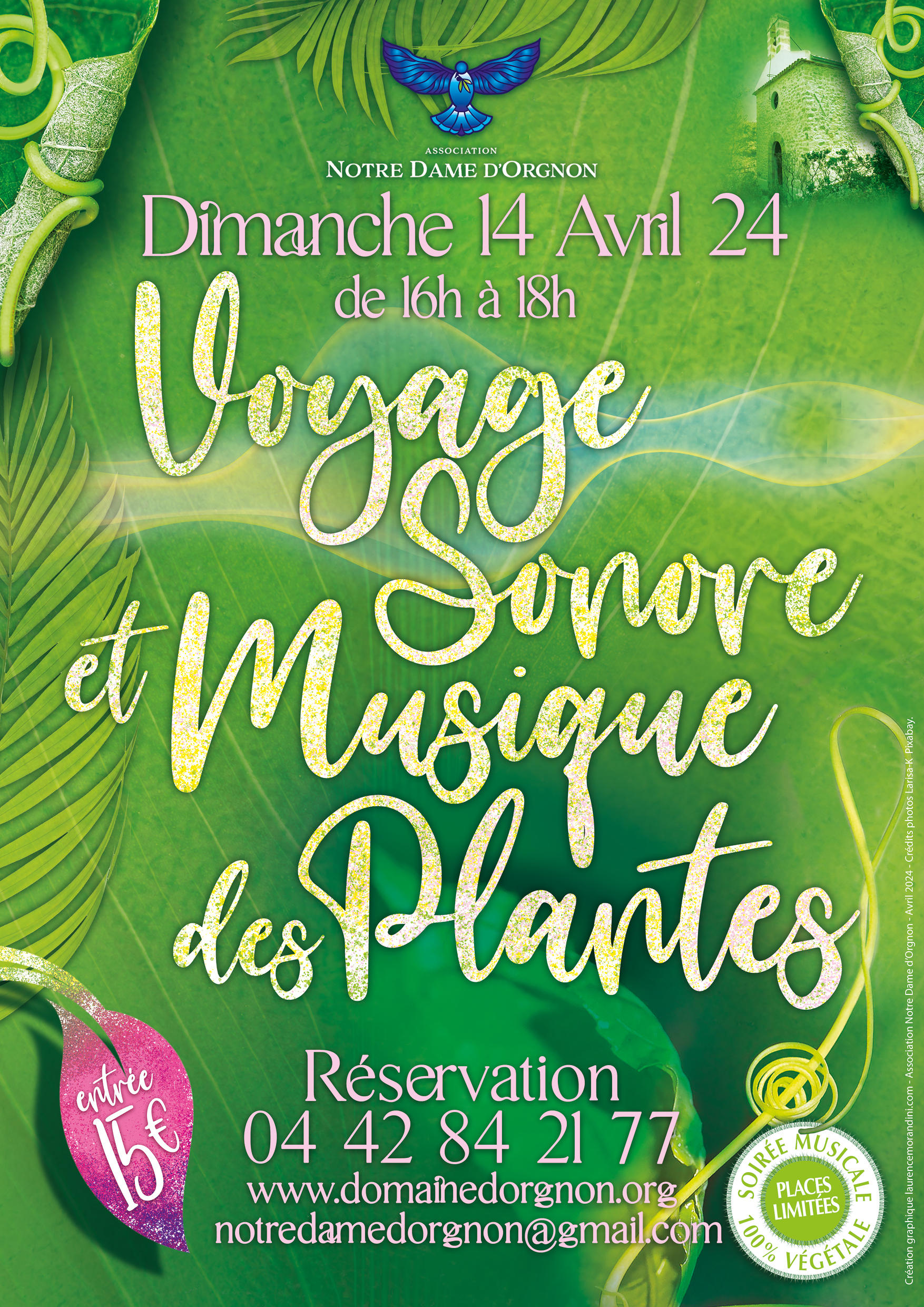 Voyage sonore et Musique des plantes